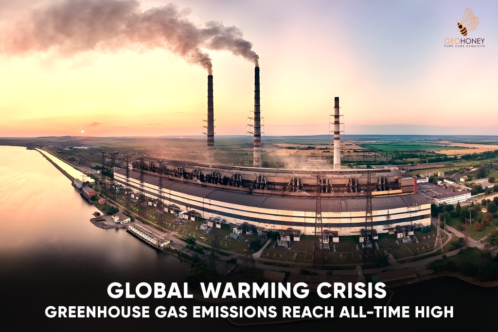 Human-caused global warming has continued at an "unprecedented rate", This message comes as climate experts assemble in Bonn.
